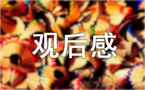 观看辉煌中国观后感