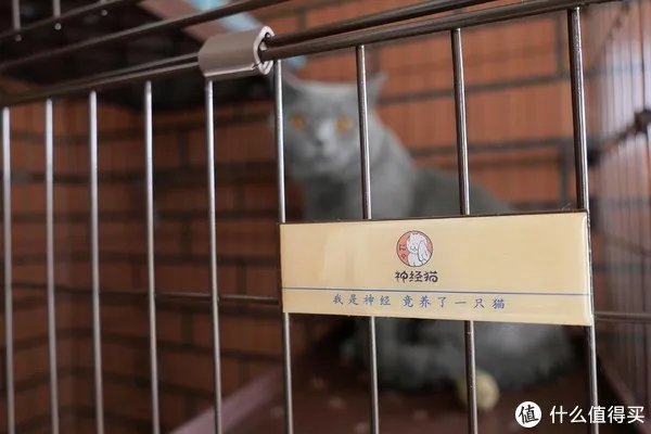 松下相机怎么样