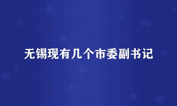无锡现有几个市委副书记