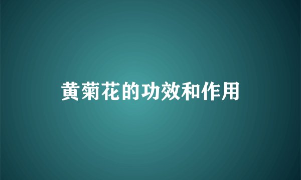 黄菊花的功效和作用
