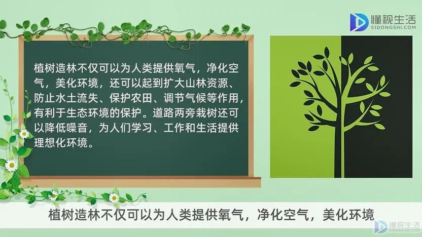 植树节由来