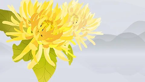 木棉花的功效和作用