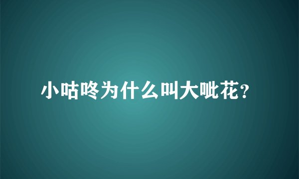 小咕咚为什么叫大呲花?
