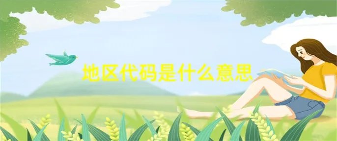 地区代码是什么意思