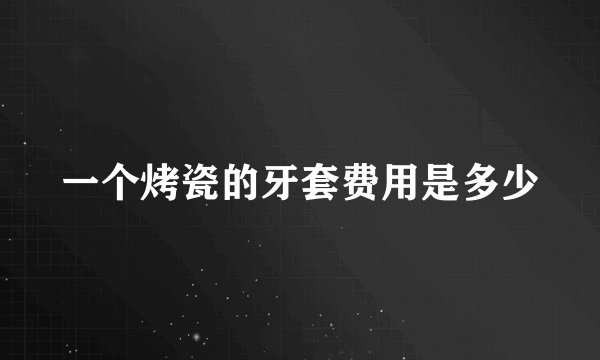 一个烤瓷的牙套费用是多少