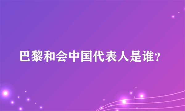 巴黎和会中国代表人是谁？