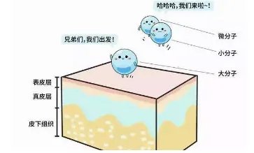 玻尿酸功效