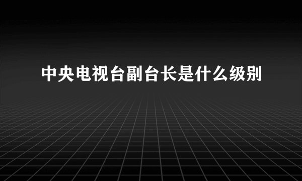 中央电视台副台长是什么级别