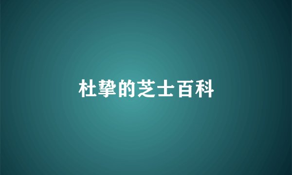 杜挚的芝士百科