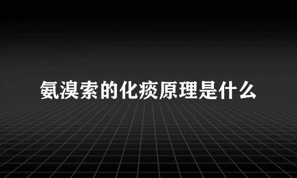 氨溴索的化痰原理是什么