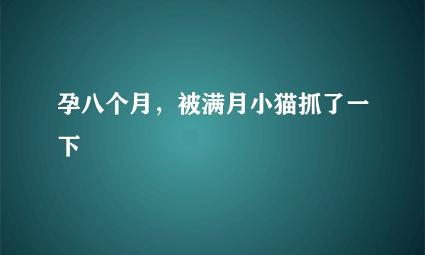 孕八个月，被满月小猫抓了一下