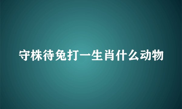 守株待兔打一生肖什么动物