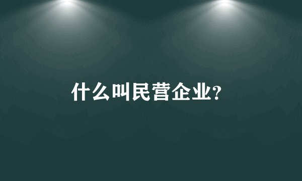 什么叫民营企业？