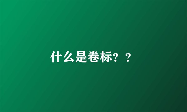 什么是卷标？？