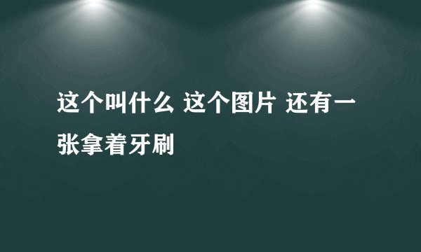 这个叫什么 这个图片 还有一张拿着牙刷