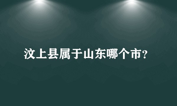 汶上县属于山东哪个市？