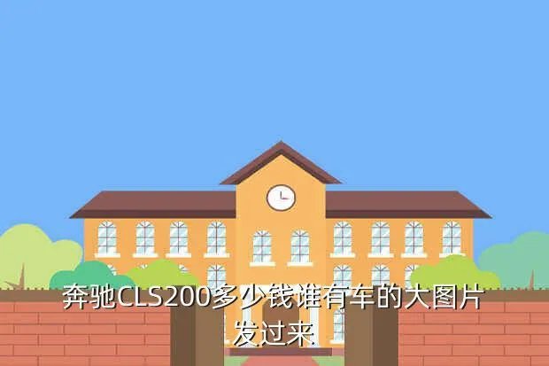 奔驰cls200,奔驰CLS200要多少钱