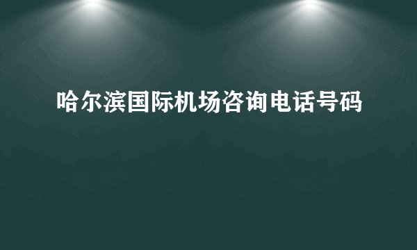 哈尔滨国际机场咨询电话号码