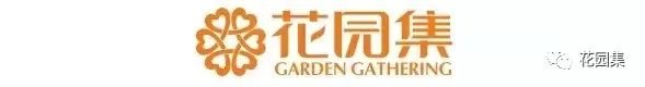 枯山水之置石造景艺术,就是这么有魅力~