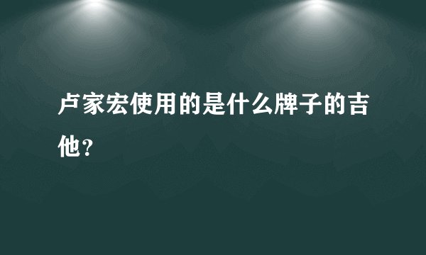 卢家宏使用的是什么牌子的吉他？