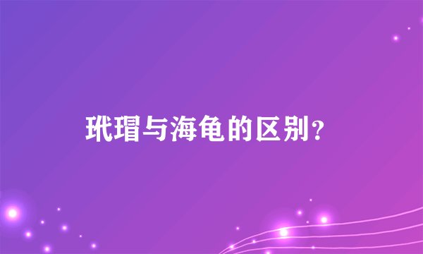 玳瑁与海龟的区别？