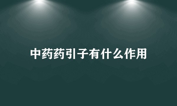 中药药引子有什么作用