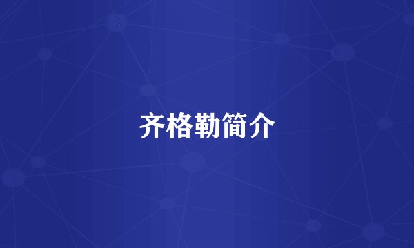 齐格勒简介