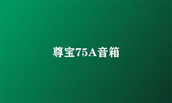 尊宝75A音箱