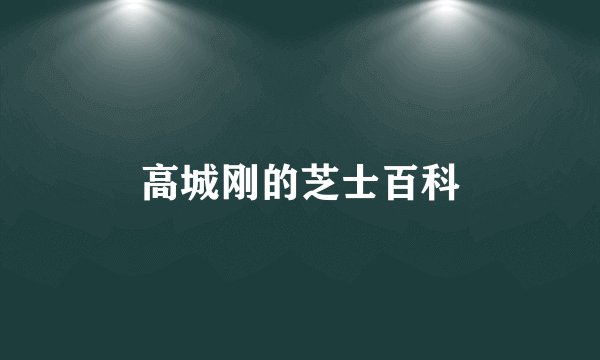 高城刚的芝士百科