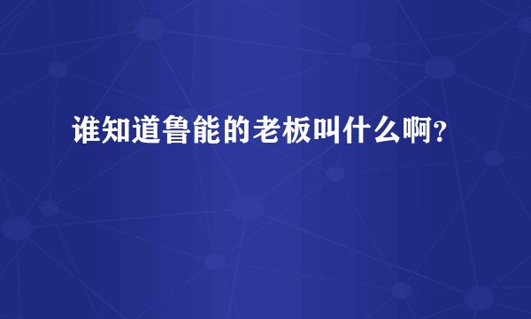 谁知道鲁能的老板叫什么啊？