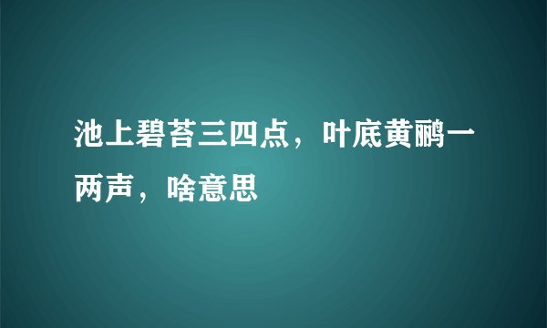池上碧苔三四点，叶底黄鹂一两声，啥意思