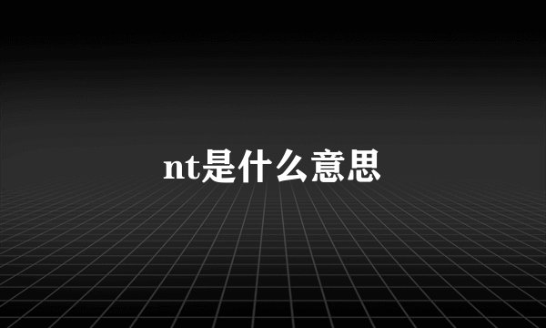 nt是什么意思