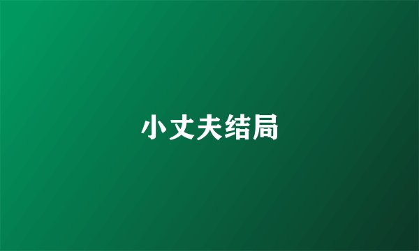 小丈夫结局
