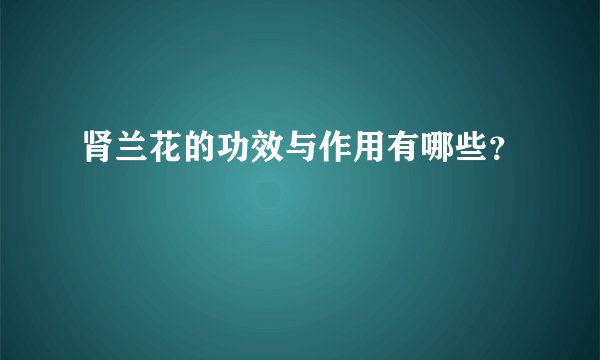 肾兰花的功效与作用有哪些？