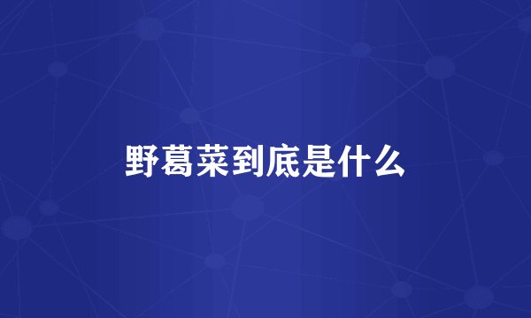 野葛菜到底是什么