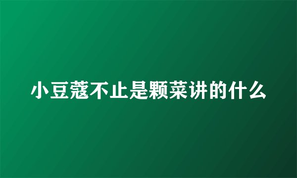 小豆蔻不止是颗菜讲的什么