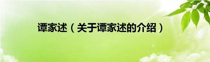谭家述（关于谭家述的介绍）