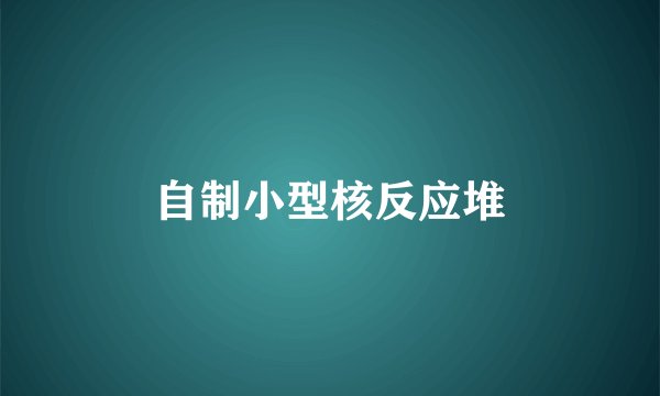 自制小型核反应堆