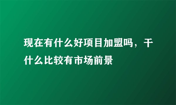 现在有什么好项目加盟吗，干什么比较有市场前景