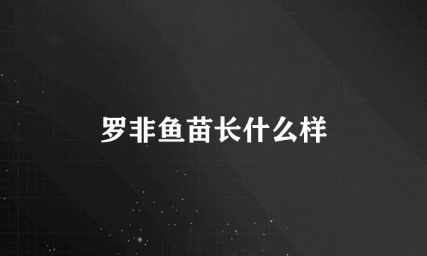 罗非鱼苗长什么样