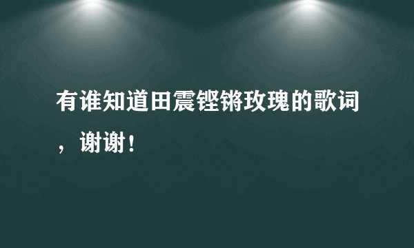 有谁知道田震铿锵玫瑰的歌词，谢谢！