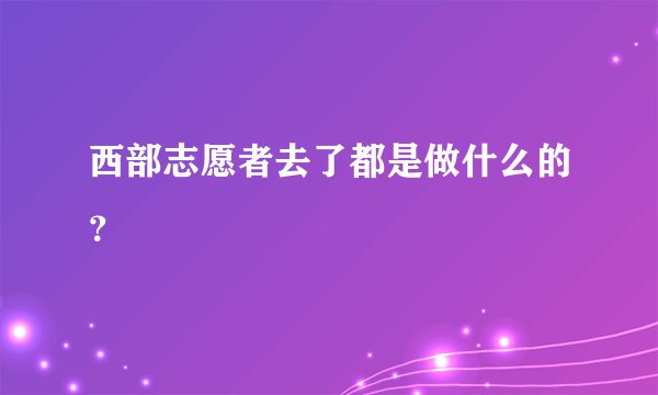 西部志愿者去了都是做什么的？