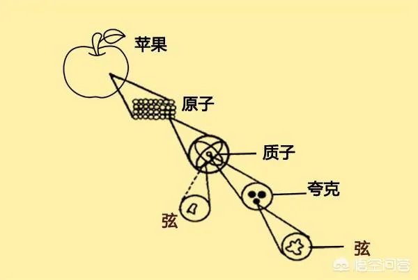 人类到底生活在几维空间里?