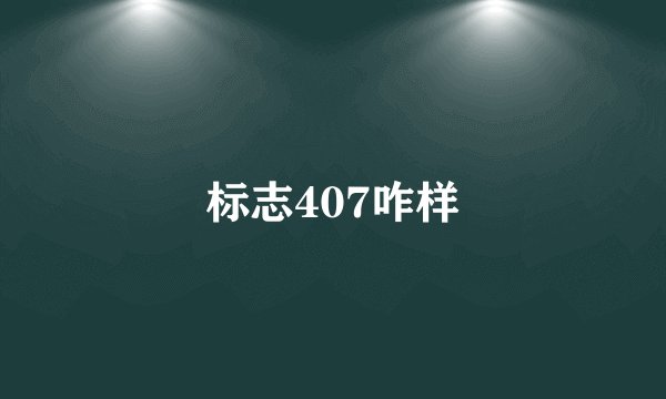 标志407咋样