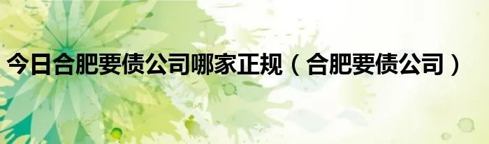 今日合肥要债公司哪家正规（合肥要债公司）