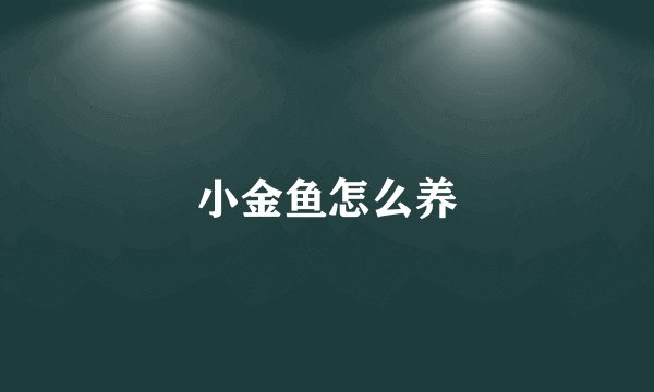 小金鱼怎么养