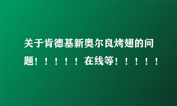 关于肯德基新奥尔良烤翅的问题!!!!!在线等!!!!!