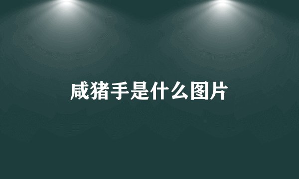 咸猪手是什么图片