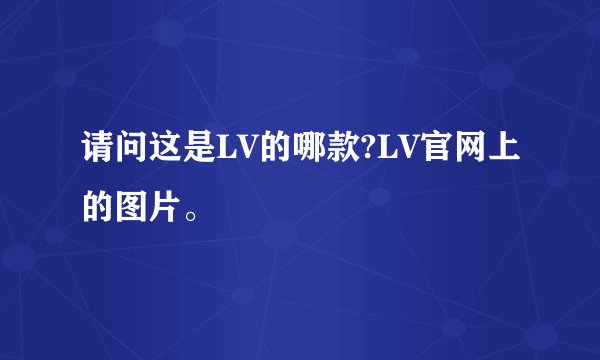 请问这是LV的哪款?LV官网上的图片。