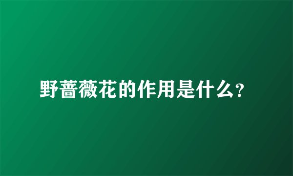 野蔷薇花的作用是什么?